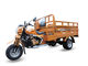 Luksusowy wózek trójkołowy z napędem motorycznym / automatyczny 3-kołowy motocykl 250cc